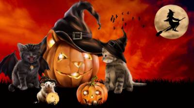 Diamond Painting picture, Halloween, round stones, 45x80cm, 51 colours, full picture