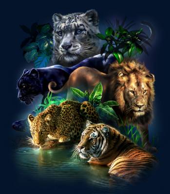 Tami Alba, Big Jungle Cats, Square Stones, Approx. 75x85cm, 55 Colours, Full Image