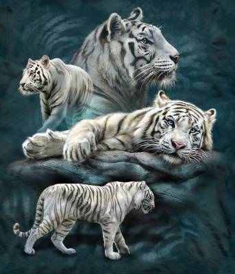 Tami Alba, White Tiger Collage, Square Stones, Approx. 80x95cm, 90 Colours, Full Image