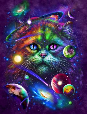 Tami Alba, Cosmic Kitty, Round Stones, Approx. 70x90cm, 60 Colours, Full Image