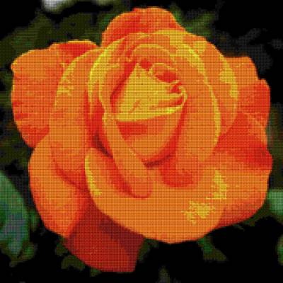 Diamond Painting Bild, Rose, orange, ca. 50x50cm, 75 Farben, runde Steinchen