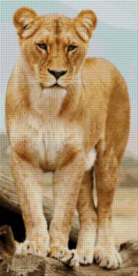 Diamond Painting Bild, Löwendame, ca. 78x39cm, 55 Farben, runde Steinchen
