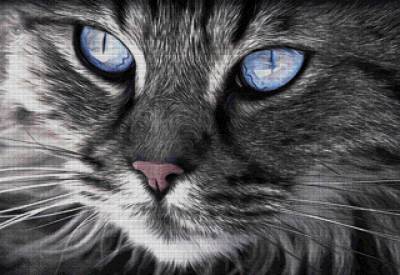 Diamond Painting Bild, Katzenportrait, eckige Steinchen, ca. 80x55cm, 80 Farben, Vollbild