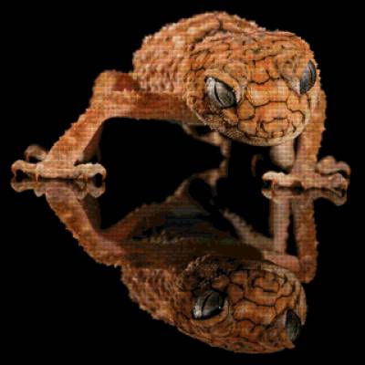 Diamond Painting Bild, Gecko, eckige Steinchen, ca. 80x80 cm, 100 Farben