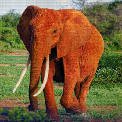 Diamond Painting Bild, Elefant, runde Steinchen, ca. 78x78 cm, 200 Farben