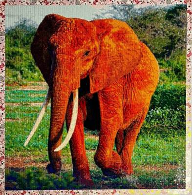 Diamond Painting Bild, Elefant, eckige Steinchen, ca. 70x70 cm, 200 Farben