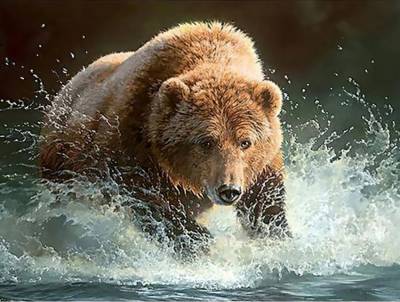 Diamond Painting picture, brown bear, round stones, approx. 100x75cm, 50 colours, full picture