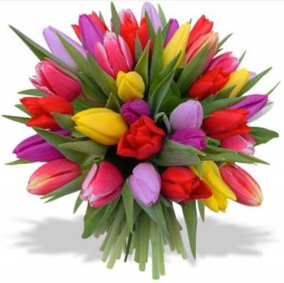 Diamond Painting beginner picture, tulip bouquet, approx. 30x30cm, 30 colours, square stones, full picture