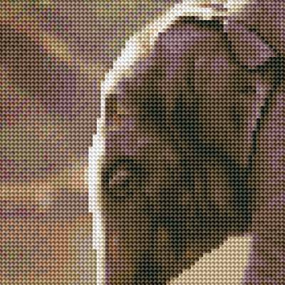 Auszug aus dem Bild - Beispiel - gepixelt