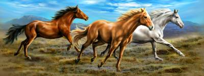 Tami Alba, Running Horses, Round Stones, Approx. 50x140cm, 60 Colours, Full Image