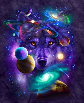 Tami Alba, Wolf Of The Cosmos, Round Stones, Approx. 75x90cm, 55 Colours, Full Image