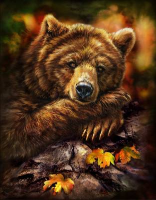 Tami Alba, Grizzly Autumn, Square Stones, Approx. 70x90cm, 55 Colours, Full Image