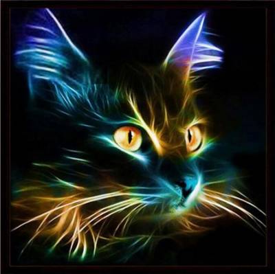 Diamond Painting picture, cat, square stones, about 70x70cm, 50 colors, full image