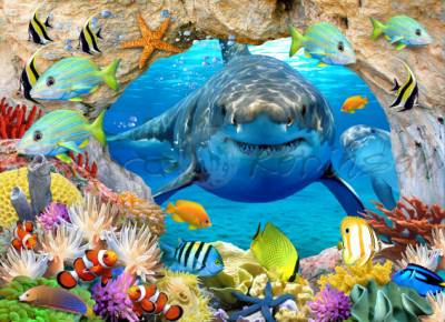 Howard Robinson, Peek a boo, 65x90cm, 70 Farben, runde Steine, Vollbild