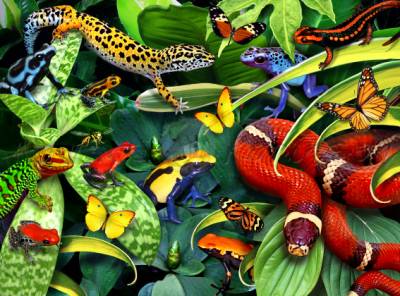 Howard Robinson, Jumpers and Crawlers, 65x90cm, 70 Farben, runde Steine, Vollbild