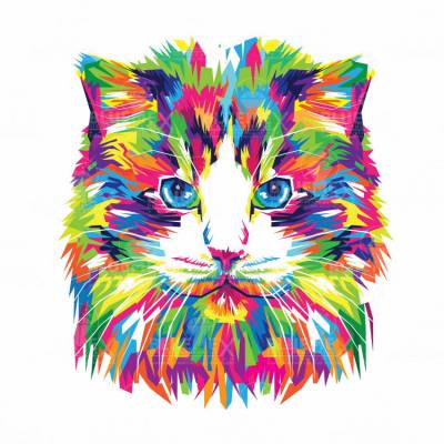 Diamond Painting Bild, bunte Katze, eckige Steinchen, 30x30cm, 20 Farben, Vollbild