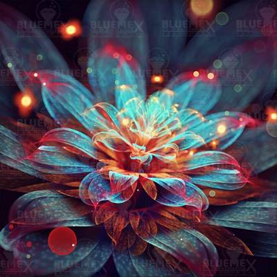 Diamond Painting Bild, Lichterseerose, eckige Steine, 60x60cm,  46 Farben, Vollbild
