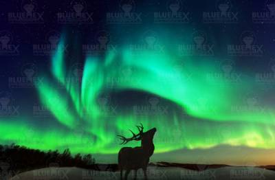 Diamond Painting picture, Northern Lights, square stones, 65x100cm, 71 colours, 7 Glow, full picture