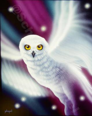 Schim Schimmel, Wings of Light, runde Steine, ca. 70x90cm, 55 Farben, Vollbild