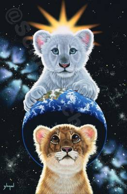 Schim Schimmel, The very Few, runde Steine, ca. 60x90cm, 50 Farben, Vollbild