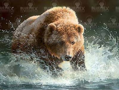 Diamond Painting Bild, Braunbär, runde Steinchen, ca. 100x75cm, 50 Farben, Vollbild