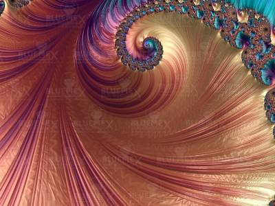 Diamond Painting Bild, Ammonit, runde Steinchen, ca. 60x80cm, 45 Farben, Vollbild