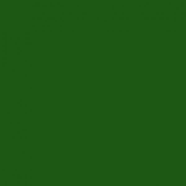 Steinchen, eckig (square), Farbe 3346, Hunter Green, Tüte mit 200 Stück