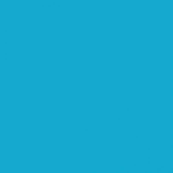 3843, Electric Blue, 1 Package (200 Diamonds)