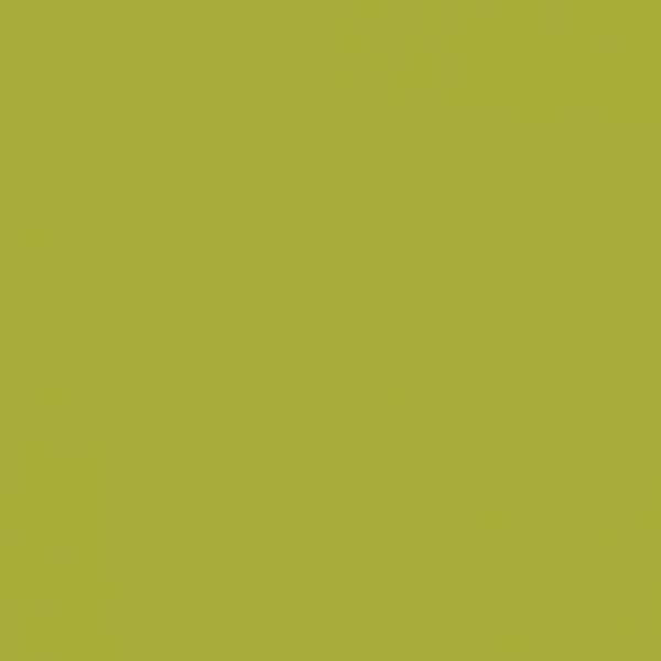 Ersatz-Steinchen, rund (round), Farbe 581, Moss Green, Tüte mit 200 Stück