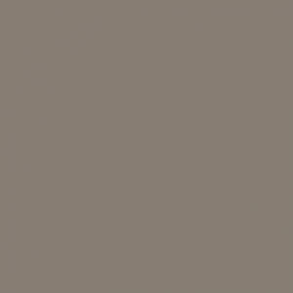 Steinchen, eckig (square), Farbe 646, Beaver Gray Dark, Tüte mit 200 Stück