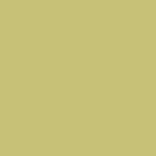 Steine, rund (round), Farbe 734, Olive Green Light, Tüte mit 200 Stück