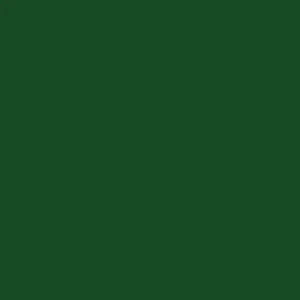 Steine, rund (round), Farbe 890, Pistachio Green Ultra Dark, Tüte mit 200 Stück