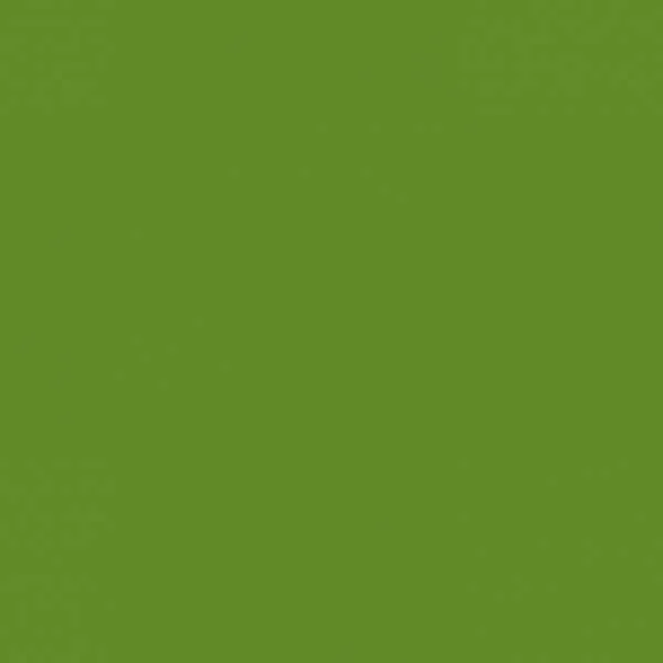 Steine, rund (round), Farbe 905, Parrot Green Dark, Tüte mit 200 Stück