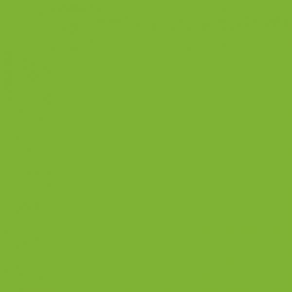 906, Parrot Green Medium, 1 Package (200 Diamonds)