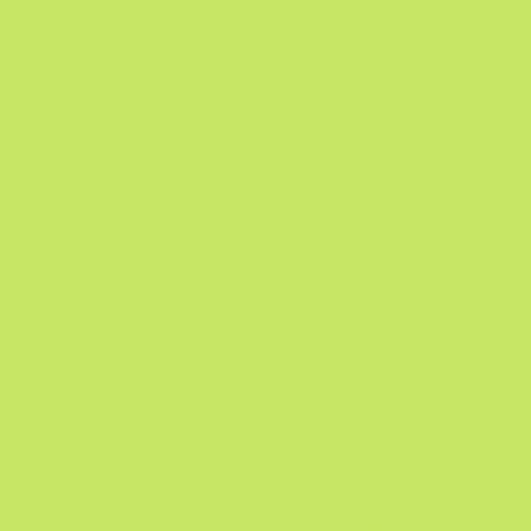 Ersatz-Steinchen, rund (round), Farbe 907, Parrot Green Light, Tüte mit 200 Stück