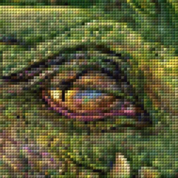 Excerpt from the image - example - pixelated