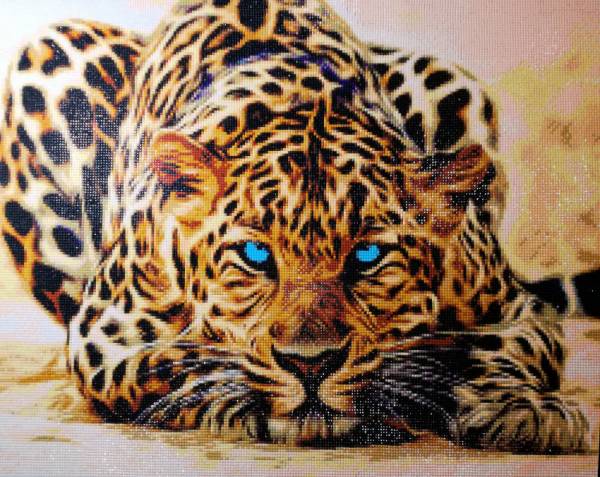 Diamond Painting picture, Leopard, approx. 60x90cm, 45 colours, round stones, full picture