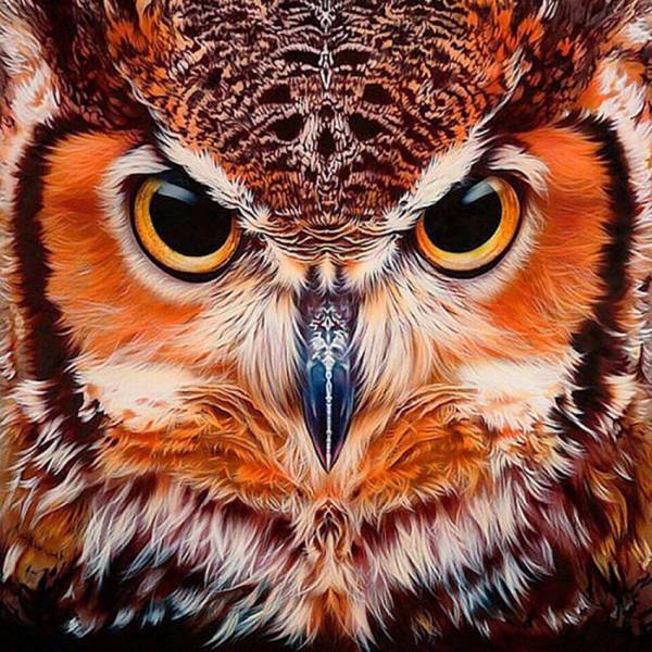 Diamond Painting Bild, Eulenkopf, runde Steinchen, 60x60cm, 35 Farben, Vollbild