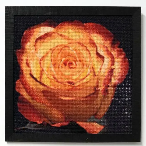 Diamond Painting Bild, Rose, orangerot, 40x40cm, 50 Farben, eckige Steine, Vollbild
