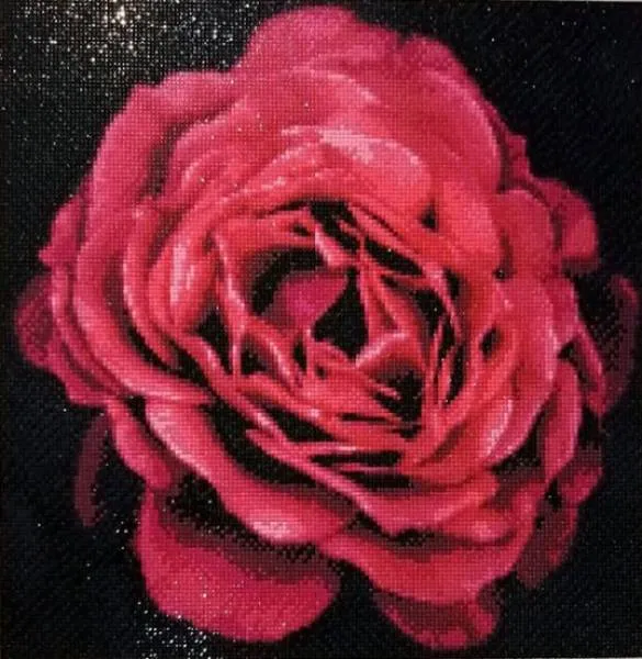 Diamond Painting picture, rose blossom, 40x40cm, 25 colours, square stones, full picture
