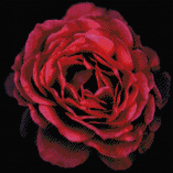 Diamond Painting Bild, Rosenblüte, runde Steinchen, ca. 40x40cm, 25 Farben, Vollbild