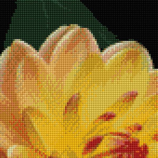 Diamond Painting Bild, Dahlie, orange, 50x50cm, 40 Farben, eckige Steine, Vollbild