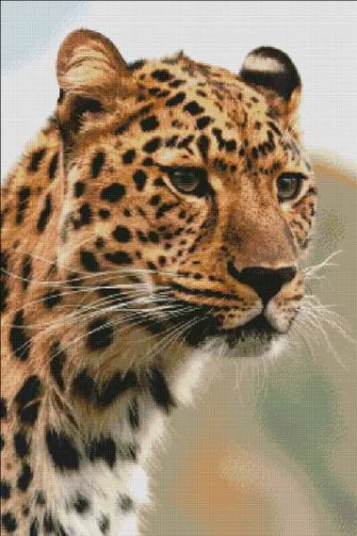 Diamond Painting Bild, Lautloser Jäger, 60x90cm, 48 Farben, eckige Steine, Vollbild