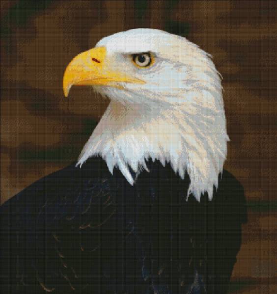 Diamond Painting Bild, Weißkopfseeadler, eckige Steinchen, ca. 75x80cm, 60 Farben, Vollbild