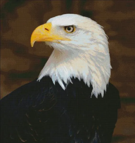 Diamond Painting Bild, Weißkopfseeadler, 75x80cm, 60 Farben, eckige Steine, Vollbild