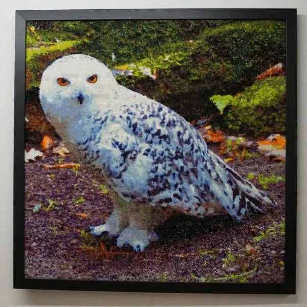 Diamond Painting picture, snow owl, 70x70cm, 50 colors, square stones, full picture