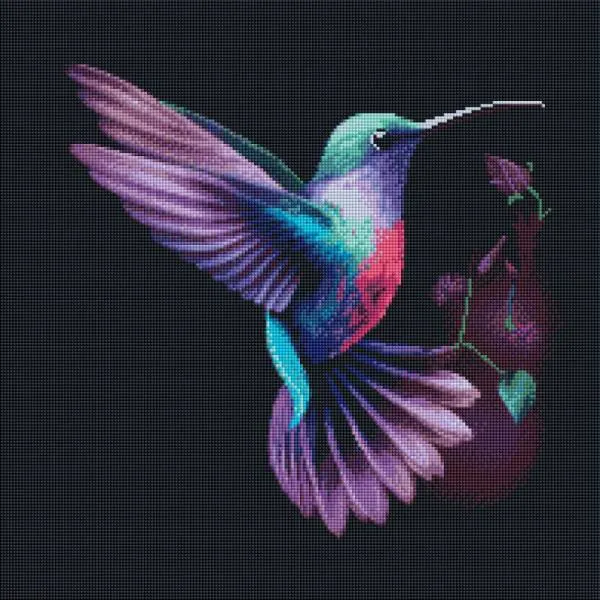 Diamond Painting Bild, Kolibri, 50x50cm, 30 Farben, eckige Steine, Vollbild