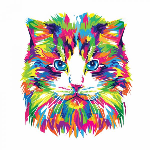 Diamond Painting Bild, bunte Katze, runde Steinchen, 30x30cm, 20 Farben, Vollbild