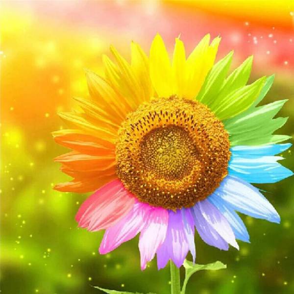 Diamond Painting Bild, Regenbogen-Sonnenblume, eckige Steinchen, 40x40cm, 37 Farben, Vollbild
