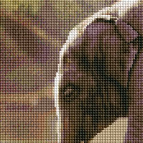 Excerpt from the image - example - pixelated